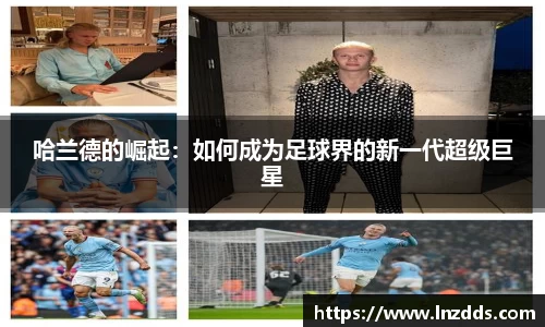 MK体育官方网站入口